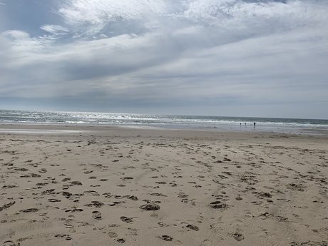 Foto di nudo di fuga di OnlyFans di Oregongay