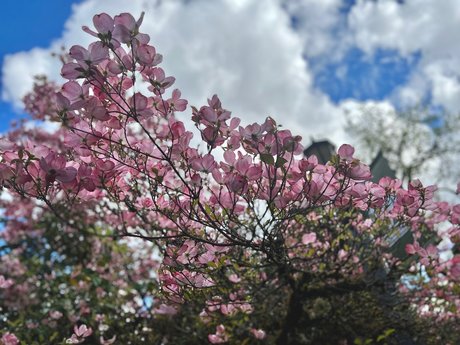 Photo nue de fuite OnlyFans de Onyxsuicide