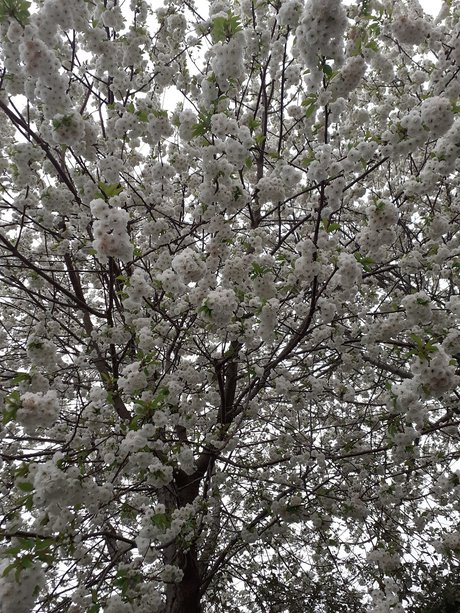 Alasti lekkinud OnlyFans-i pilt Pixie