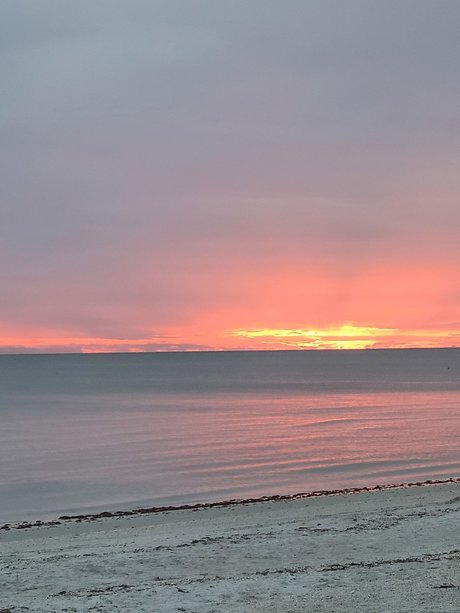 Nahá fotka uniklých OnlyFans od Pastel Pearl