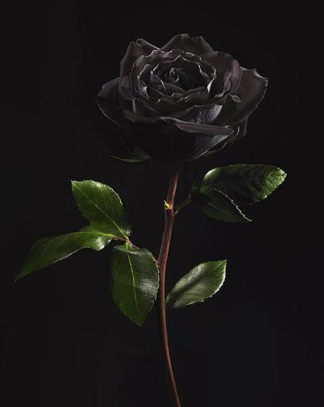 Nacktes geleaktes OnlyFans-Foto von Anonymous Couple