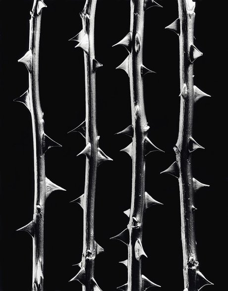 Nacktes geleaktes OnlyFans-Foto von Daisy