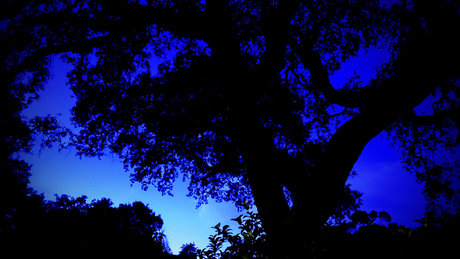 Naken lekkede OnlyFans-bilde av Pleasantame