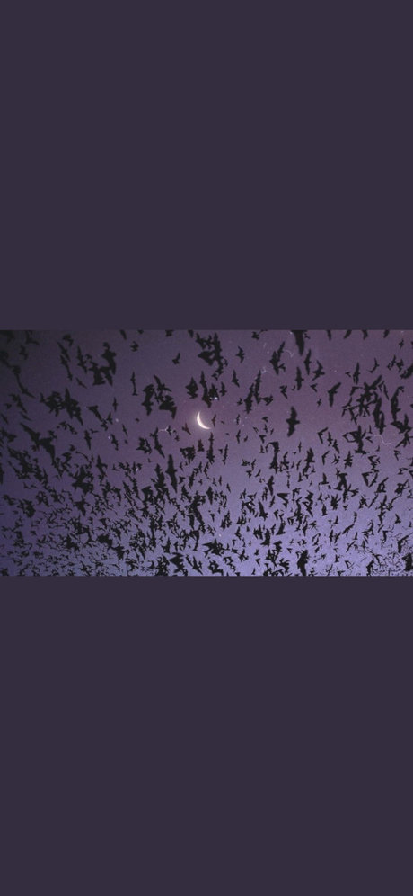 Lilith Faye naked leaks OnlyFans pic