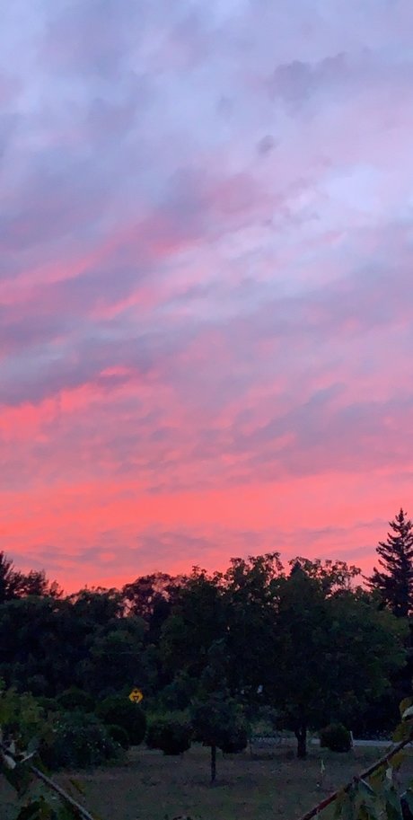 Alasti lekkinud OnlyFans-i pilt Kaye