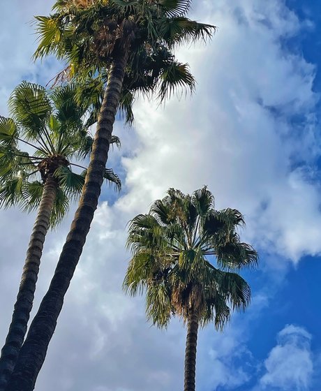 Anto naked leaks OnlyFans pic