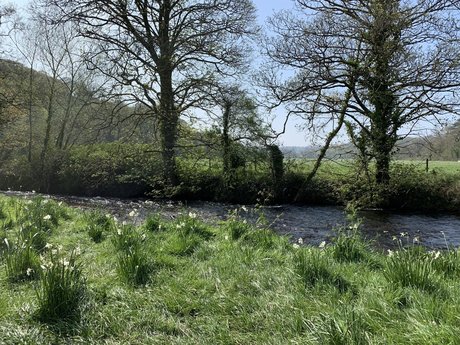 Naakte gelekte OnlyFans-foto van 