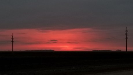 Willow The Bull OnlyFansリークヌード写真