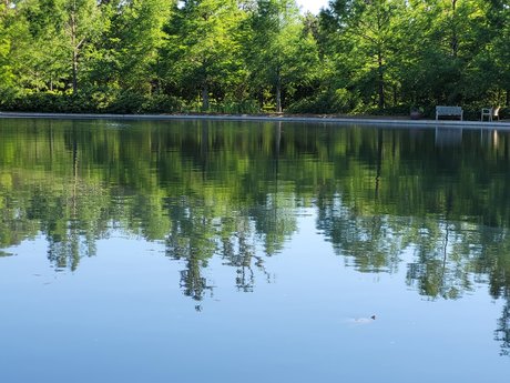 Nacktes geleaktes OnlyFans-Foto von Por Amor