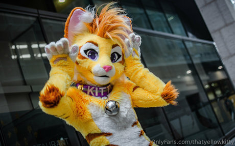 OnlyFans-model Thatyellowkitty