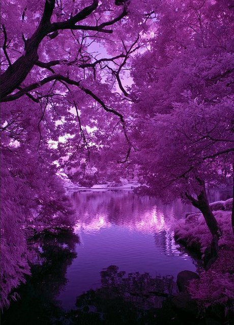 OnlyFans-model Prince Mikail