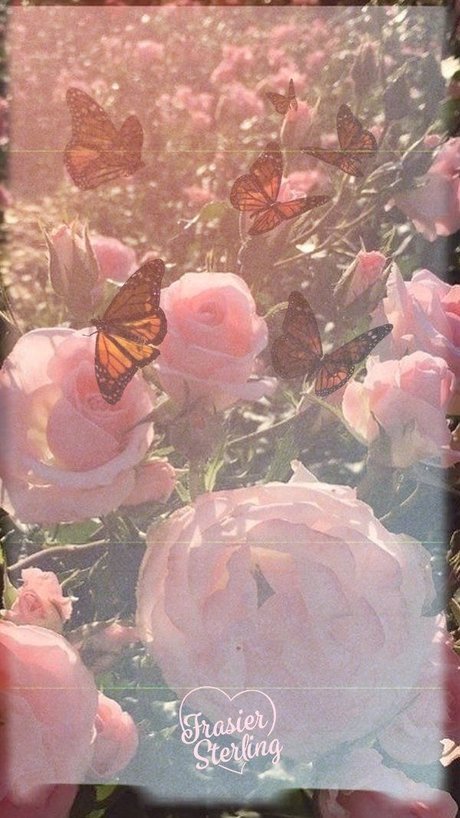 Nacktes geleaktes OnlyFans-Foto von Your Favorite Whre 