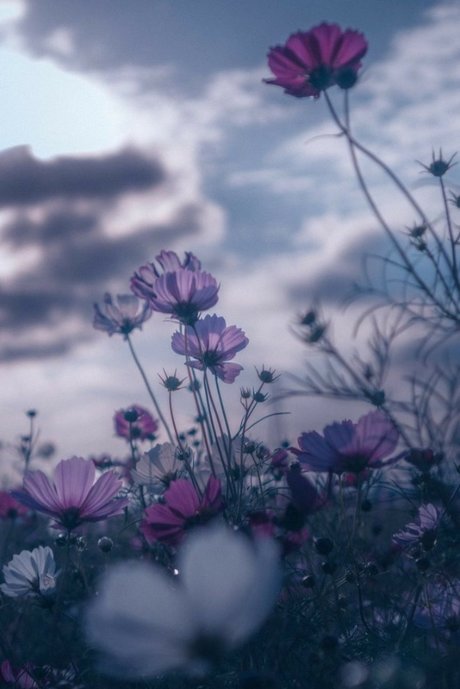 Обнаженная фотография утечки OnlyFans от Panda