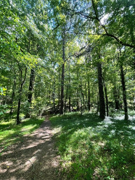 Naakte gelekte OnlyFans-foto van  