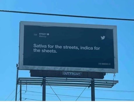 OnlyFans-model Prohibited