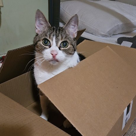 Naakte gelekte OnlyFans-foto van Staci 