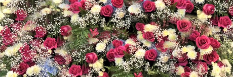 OnlyFans-model Pussycat692