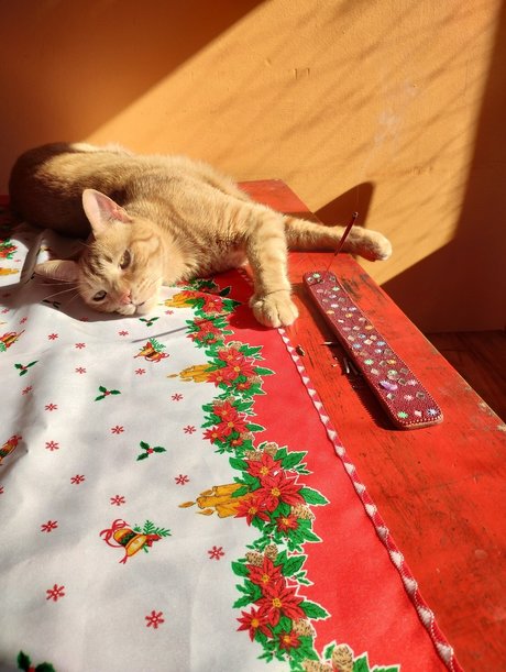 Meli OnlyFans泄露裸照