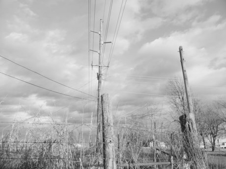 Foto di nudo di fuga di OnlyFans di Rainbow Kitty 