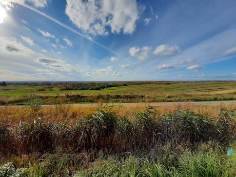 Foto desnuda filtrada de OnlyFans de Rainbow James