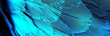 Photo nue de fuite OnlyFans de Dane Del Rey