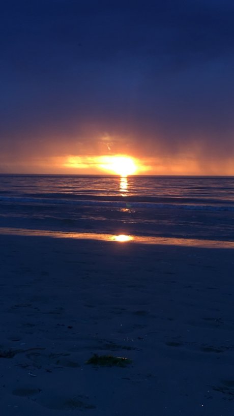 Naken läckt OnlyFans-bild av Disturbed Princess 