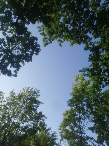 OnlyFans-model Ravenica