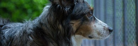 Nacktes geleaktes OnlyFans-Foto von Mia Rand