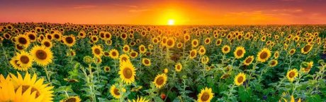 Naken lekkede OnlyFans-bilde av Raya