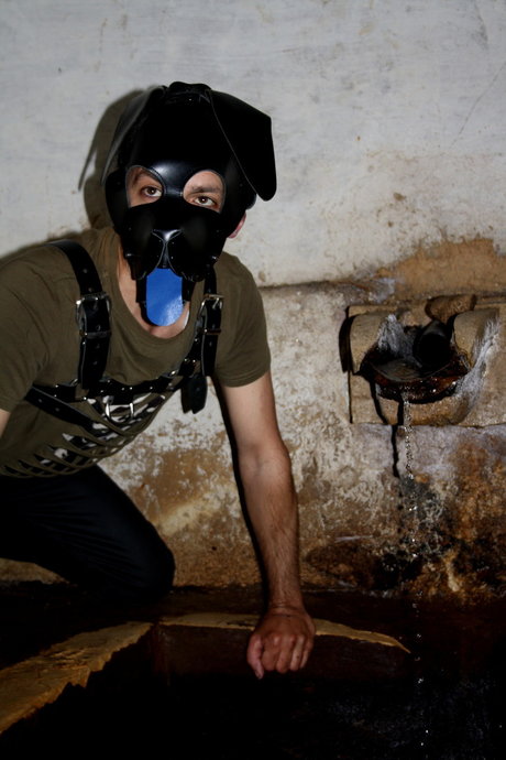 Photo nue de fuite OnlyFans de Pupregaleiro