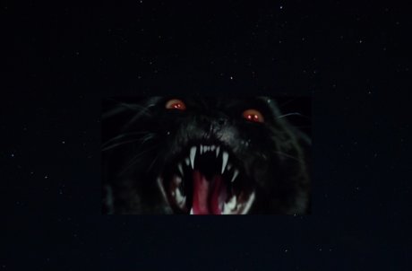 Foto di nudo di fuga di OnlyFans di Lillith