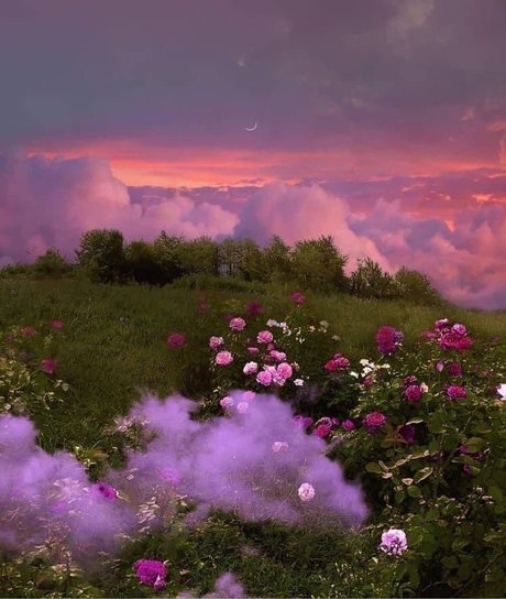 Naken lekkede OnlyFans-bilde av Rosiebooty