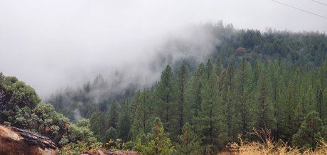 Nahá fotka uniklých OnlyFans od Rosey Thorns