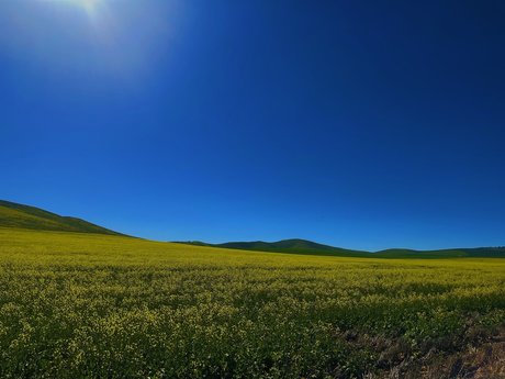 Foto di nudo di fuga di OnlyFans di Sage Kingsley