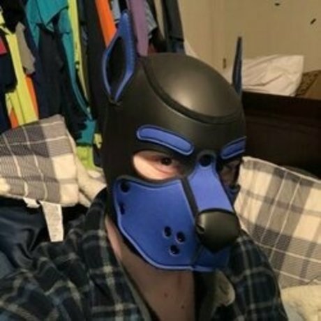 Foto di nudo di fuga di OnlyFans di Safarikyle