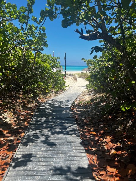 Nacktes geleaktes OnlyFans-Foto von Ryan Barker