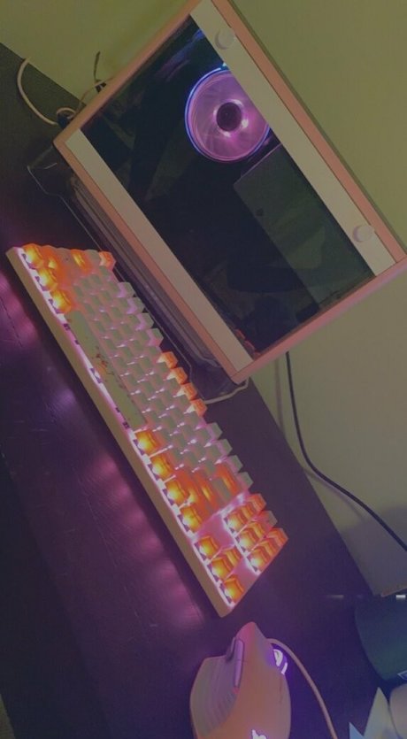 Naakte gelekte OnlyFans-foto van Wasianbabygirl