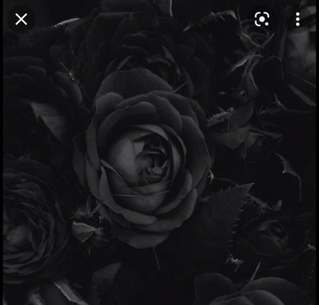 Обнаженная фотография утечки OnlyFans от Santeria