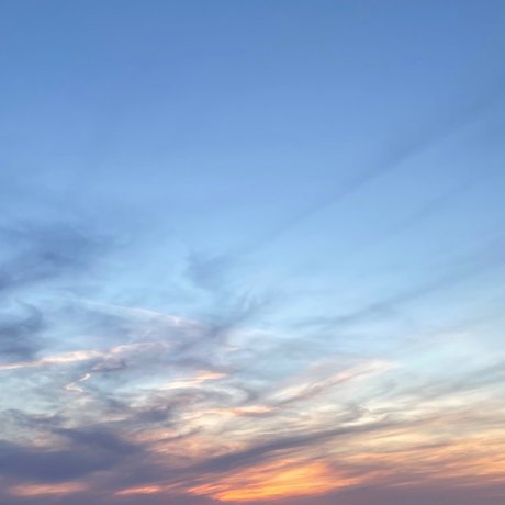 OnlyFans-model User80190714