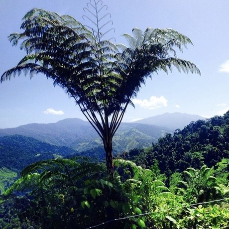 Savibaby naked leaks OnlyFans pic