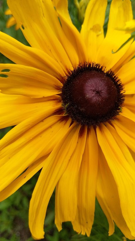 T  Free naked leaks OnlyFans pic