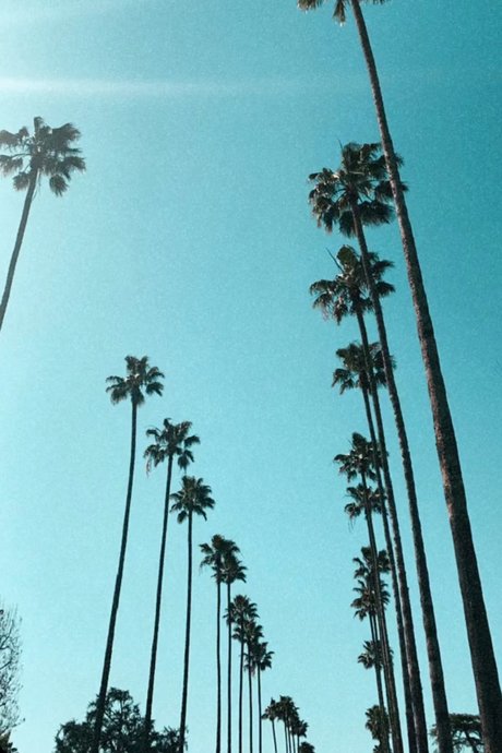 Nacktes geleaktes OnlyFans-Foto von Tavion Smith