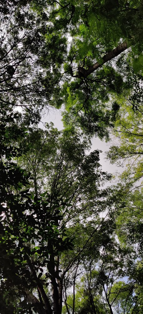 Foto di nudo di fuga di OnlyFans di Ed