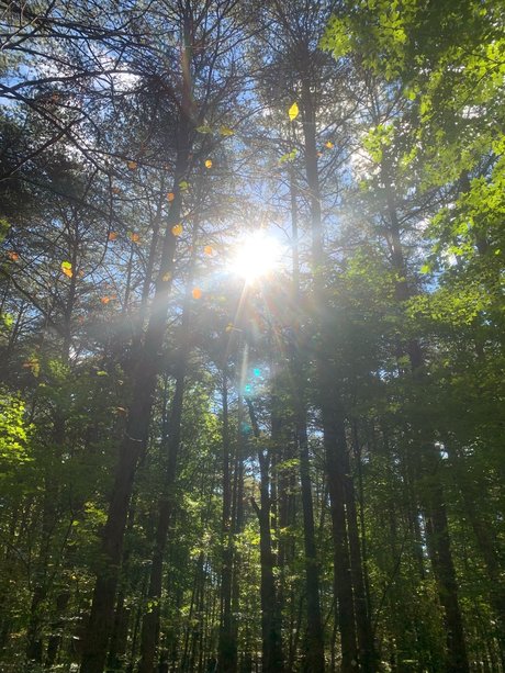 Nahá fotka uniklých OnlyFans od Marc Harrington