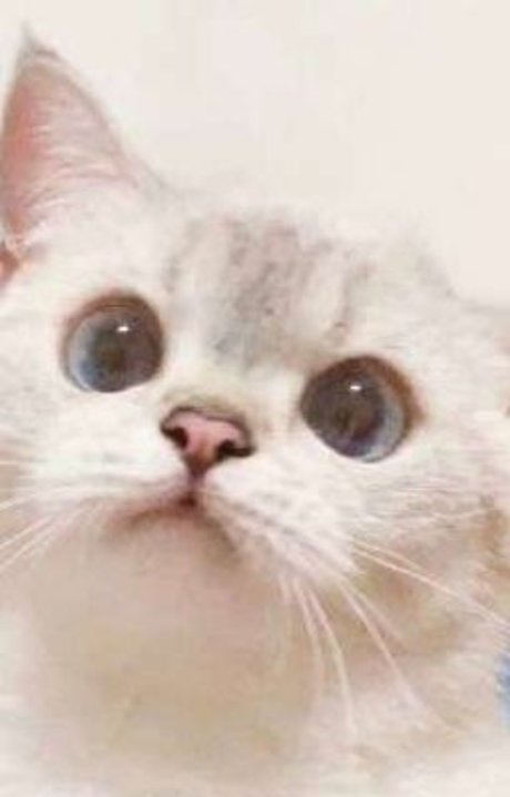 Alasti lekkinud OnlyFans-i pilt 