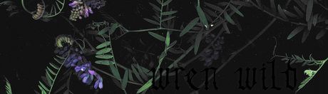 Photo nue de fuite OnlyFans de Wren Wild