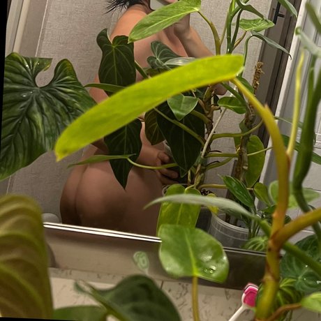 OnlyFans-model Plantfeetpics