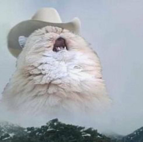 Alasti lekkinud OnlyFans-i pilt Lola