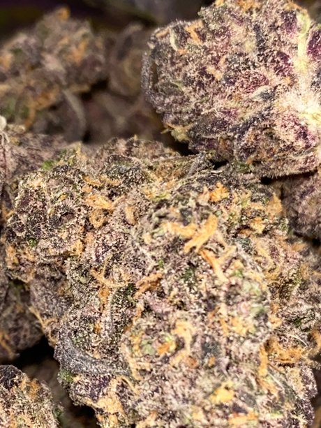 Alasti lekkinud OnlyFans-i pilt Top Shelf Freak