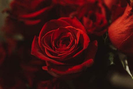 Little Bear Free OnlyFans泄露裸照